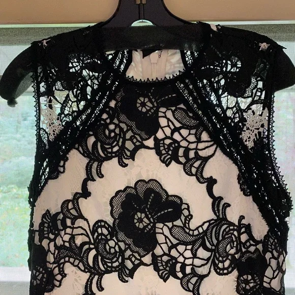 alexis black and white lace dress Alexis Lace Gown with Removable Floral Appliques 30 main image 1
